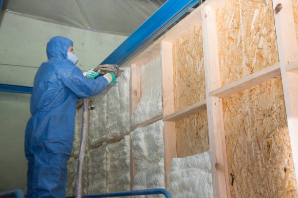 Best Insulation Repair Services  in East Hills, NY