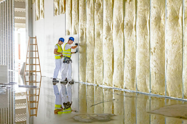 Best Home Insulation Services  in East Hills, NY